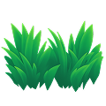 Grass